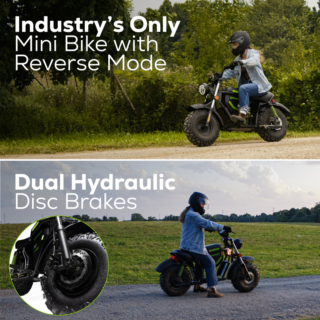 60V STEALTH Series Electric Mini-Bike: (2) 8.0 Ah Batteries and Dual-Port Rapid Charger