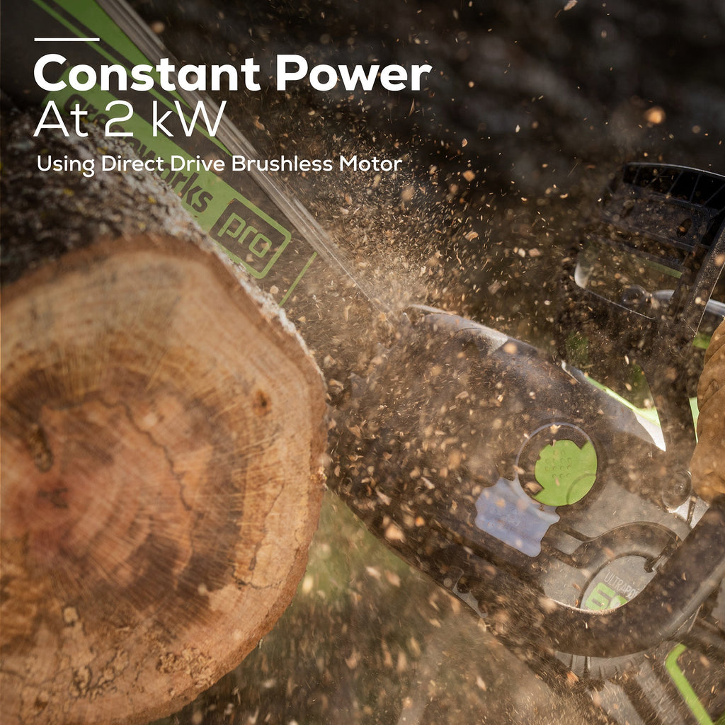60V Storm/Flood/Power Outage Kit: (2) Batteries and (2) Chargers