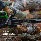 80V 20" Cordless Battery Chainsaw: 4.0 Ah Battery and Charger