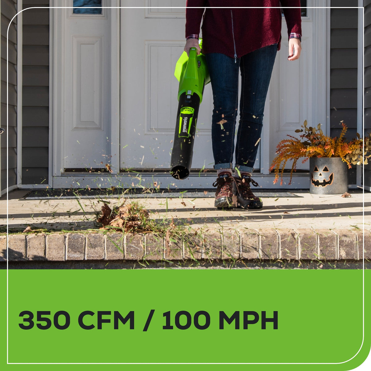 40V 350 CFM Cordless Battery Leaf Blower: 2.0 Ah Battery and Charger