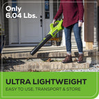 40V 350 CFM Cordless Battery Leaf Blower: 2.0 Ah Battery and Charger
