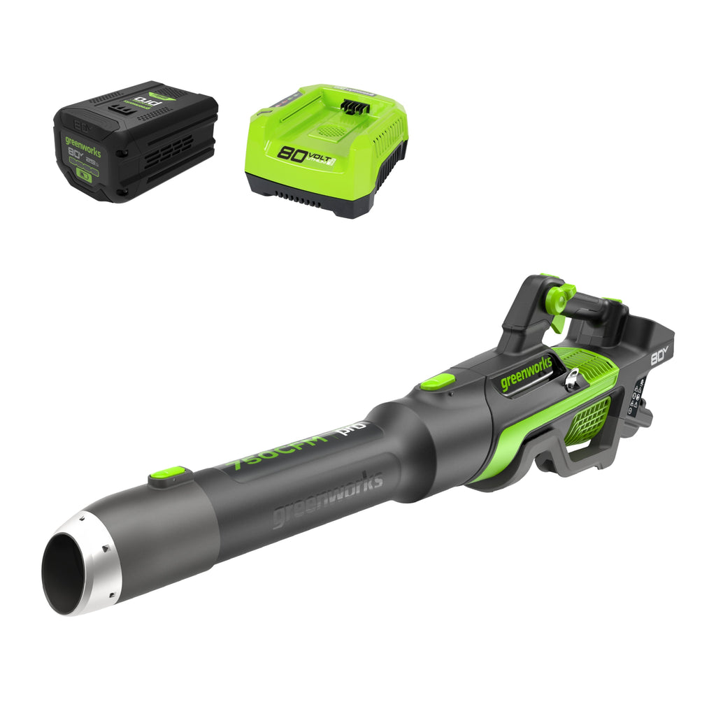 80V 750CFM Cordless Battery Leaf Blower: 2.5 Ah Battery and Charger