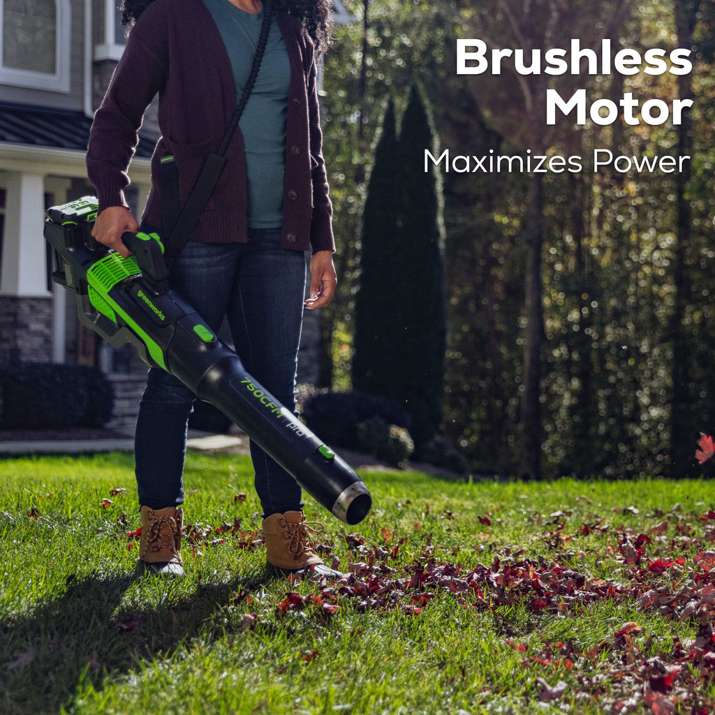 80V 750CFM Cordless Battery Leaf Blower: 2.5 Ah Battery and Charger