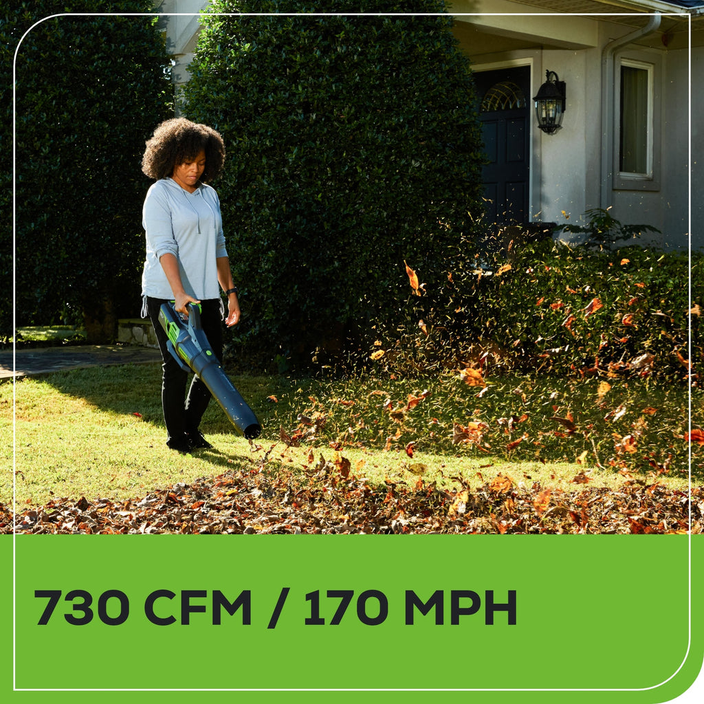 OPEN BOX 80V 730 CFM Cordless Battery Leaf Blower: 2.5 Ah Battery and Rapid Charger