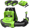 40V 710 CFM Cordless Battery Dual-Port Backpack Blower: (2) 5.0Ah Battery and Charger