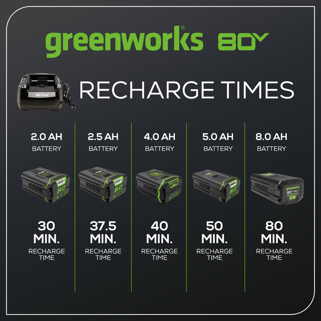 RENEWED 80V 6A Battery Charger