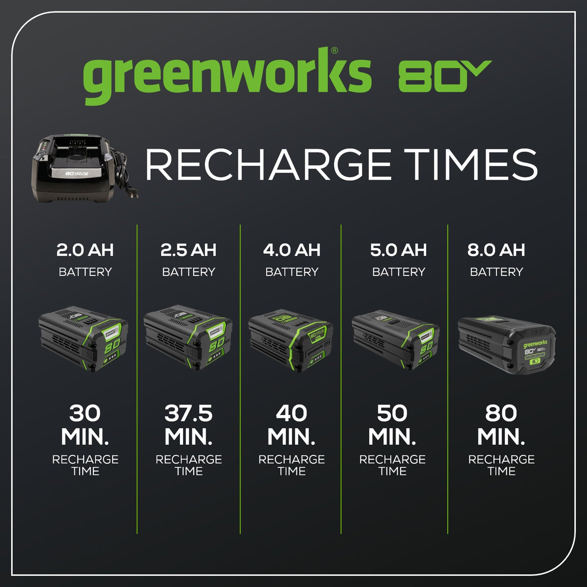 RENEWED 80V 6A Battery Charger