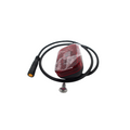 Rear Light Assembly for Select Electric Scooter