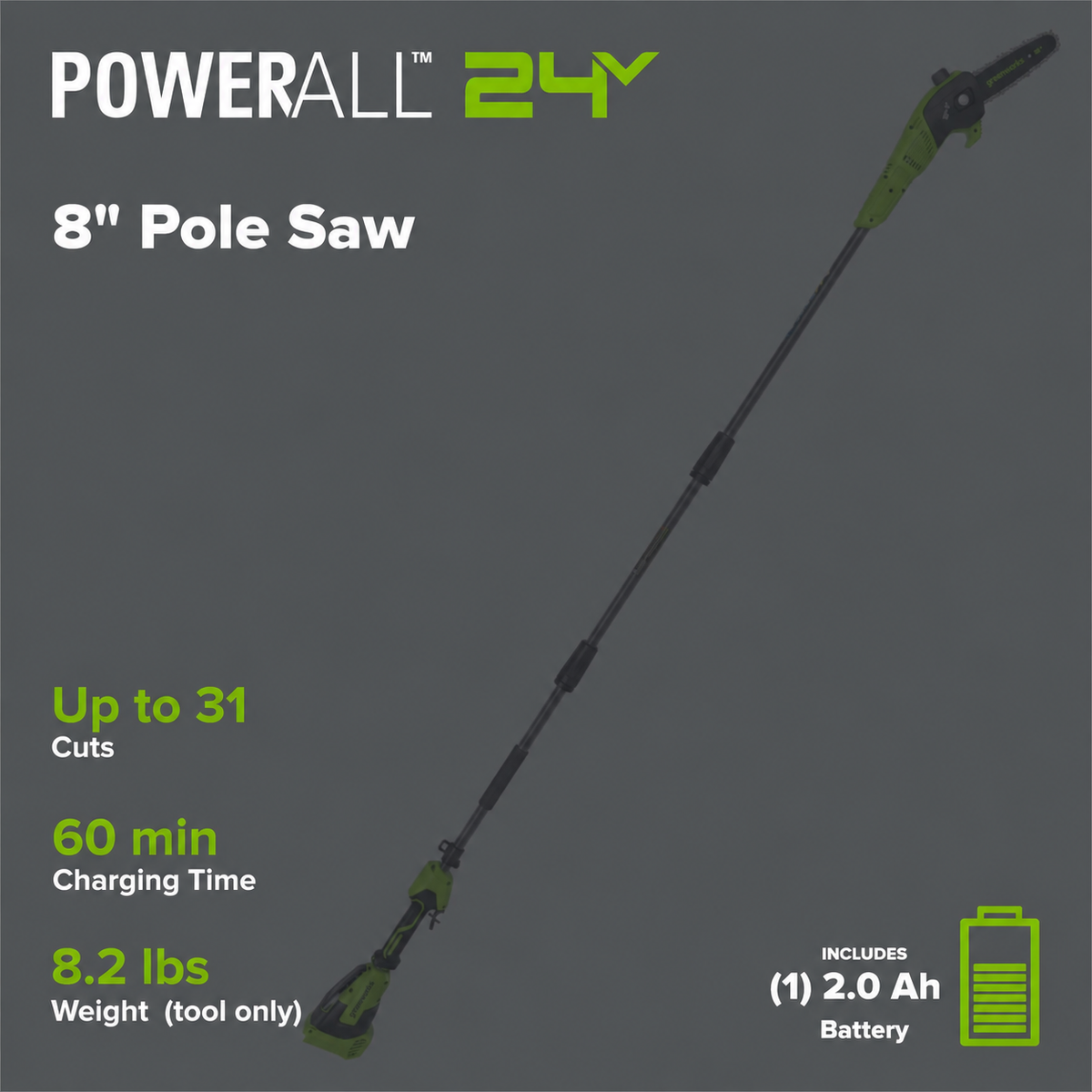24V 8" Cordless Battery Pole Saw w/ 2.0 Ah Battery & 30W Type-C Charger (3-Ft cable)