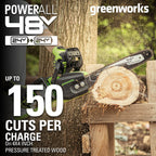48V (24V x 2) 16" Cordless Battery Chainsaw: (2) 4.0 Ah USB Batteries and Dual-Port Charger