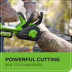 24V 12" Cordless Battery Chainsaw: 4.0 Ah USB Battery and Charger