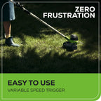 40V 12" Cordless Battery String Trimmer w/ 2.0 Ah Battery & Charger