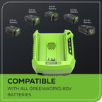 80V 4A Rapid Battery Charger
