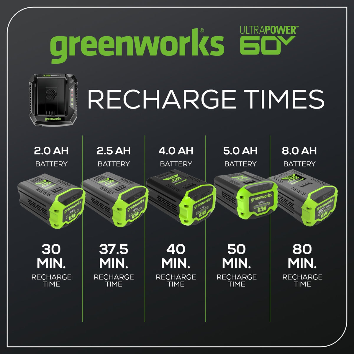 60V 6A UltraPower Rapid Battery Charger