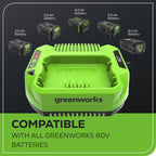 80V 2A Standard Charger